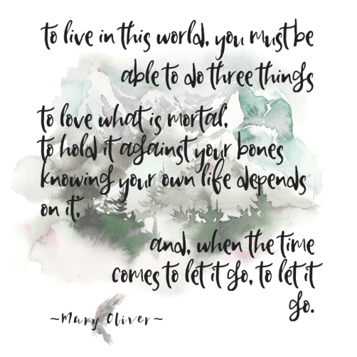 Mary Oliver Quotes